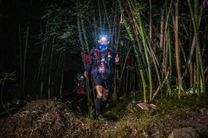 BIB: 
                            <button type="button" onclick="openModal(6936716)" class="btn btn-primary btn-sm float-right btn-popup" data-toggle="modal" data-target=".modal-high-quality">
                        <i class="fas fa-shopping-cart"></i> Add to Cart
                    </button>
                                            <button type="button" onclick="isThisMe(6936716, true)" class="btn btn-success btn-sm float-right btn-popup btn-isme hidden" data-toggle="tooltip" data-placement="bottom" title="นี่คือรูปของคุณใช่ไหม คลิกที่นี่เพื่อเอาเข้าอัลบั้ม">
                        <i class="fas fa-plus"></i> Add to album
                    </button>
                    <button type="button" onclick="isThisMe(6936716, false)" class="btn btn-warning btn-sm float-right btn-popup btn-isnotme hidden">
                        <i class="fas fa-ban"></i> Remove from album
                    </button>